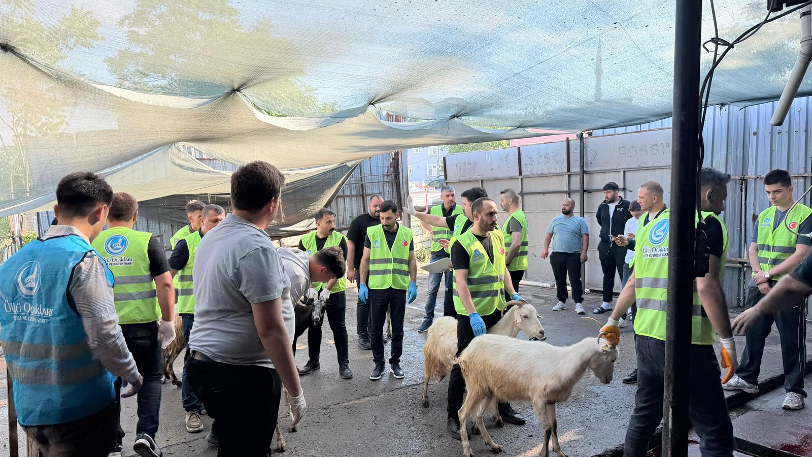 Kurban Tanıtımı