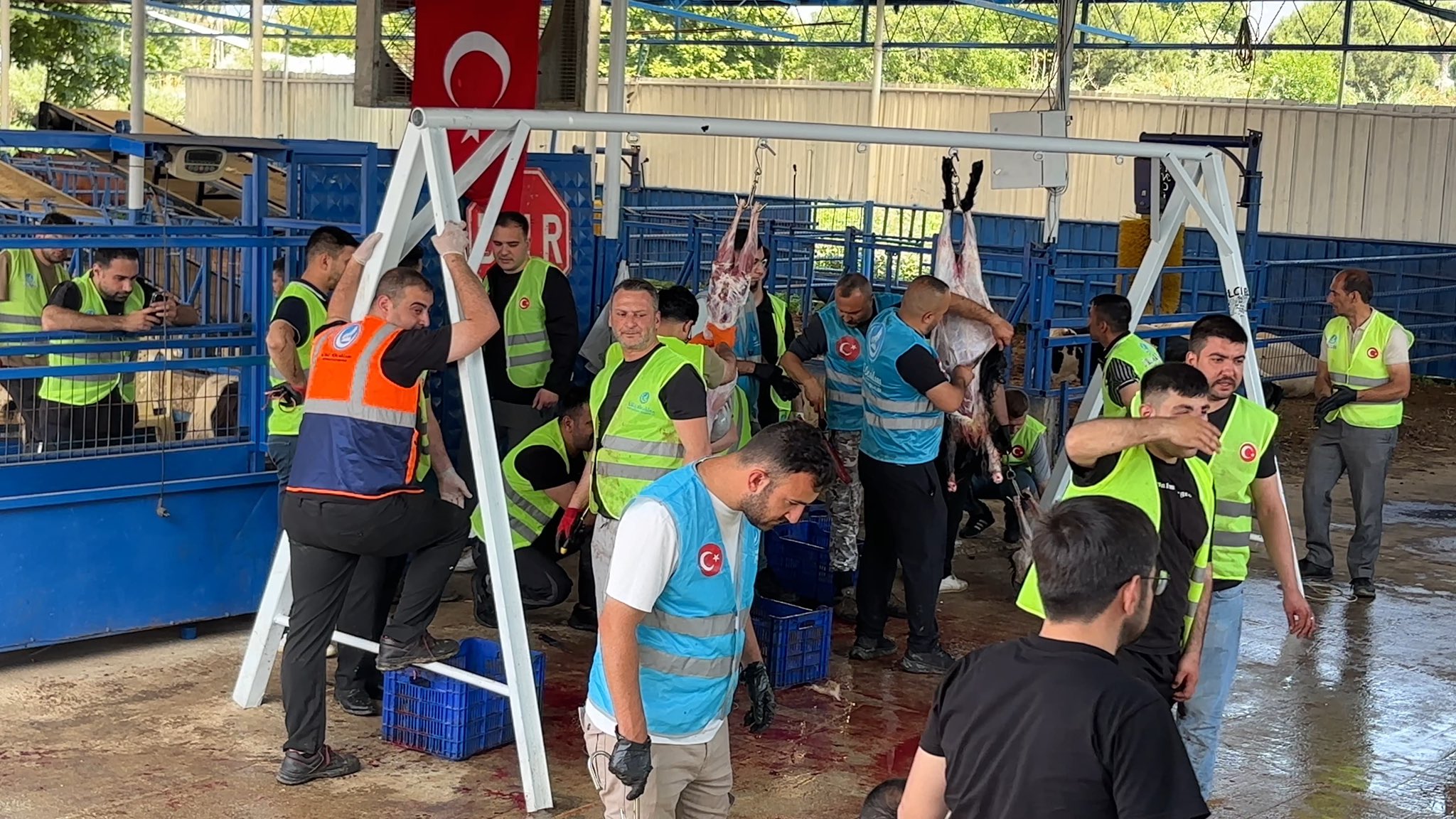 Kurban Tanıtımı